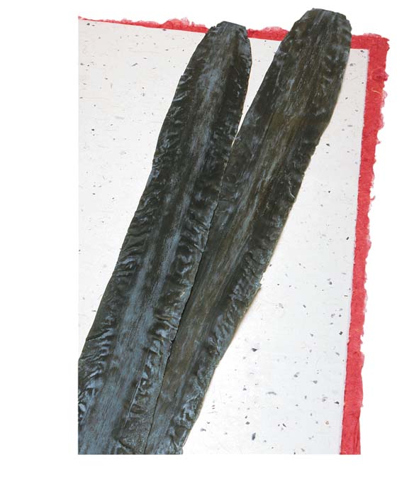 黒口浜 真昆布 築地の伏高が選んだ上品なダシがでる天然昆布