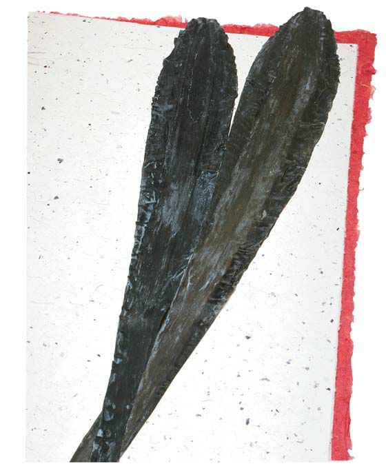 黒口浜 真昆布 築地の伏高が選んだ上品なダシがでる天然昆布