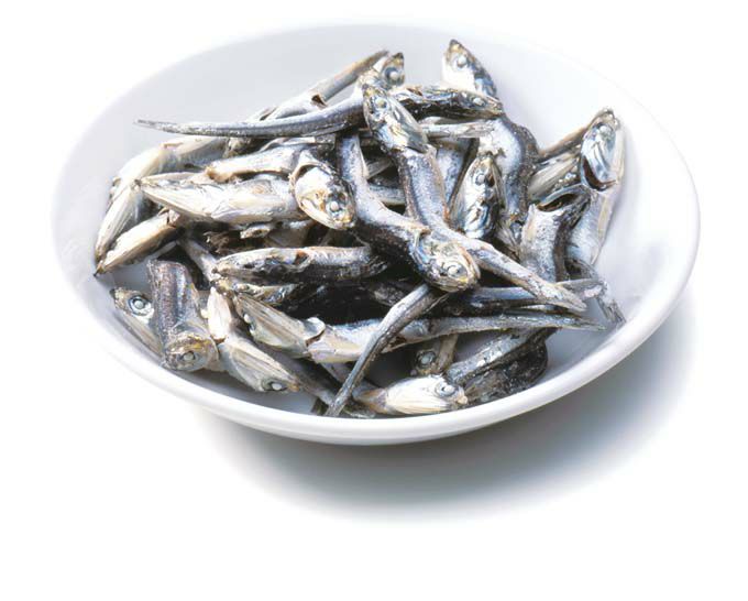 煮干しの通販、販売 築地の鰹節屋、伏高がプロ品質の煮干を届けます