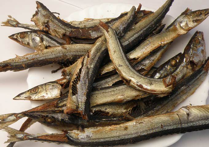 秋刀魚節